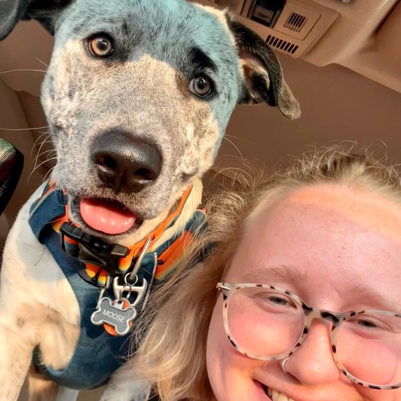 Meet your Posher, Lauren - Picture 4 of 5